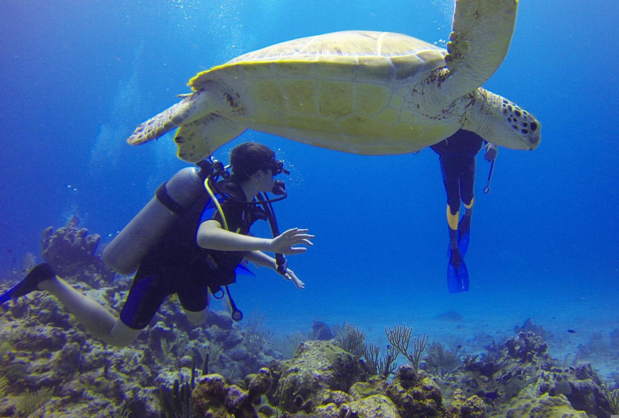 Отель Roxon Red Sea Eilat - Adults Only Экстерьер фото